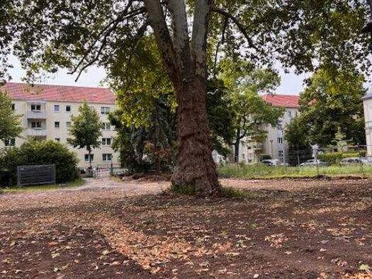 Wohnung zum Kauf provisionsfrei 700.000 € 4 Zimmer 101,8 m² frei ab 01.12.2026 Bergstraße 21 Südvorstadt-West Dresden 01069