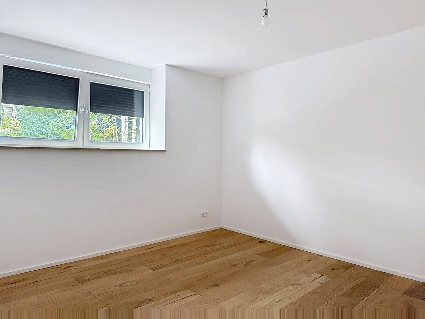 Haus – Aach - Ansicht 5