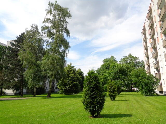 Property thumbnail 6