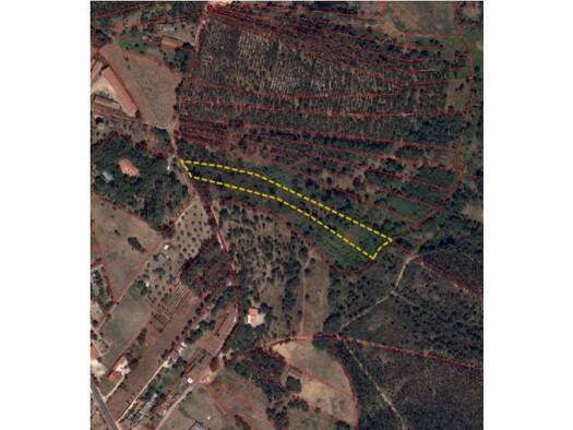 Grundstück zum Kauf 35.000 € 18.680 m² Grundstück Rio Maior