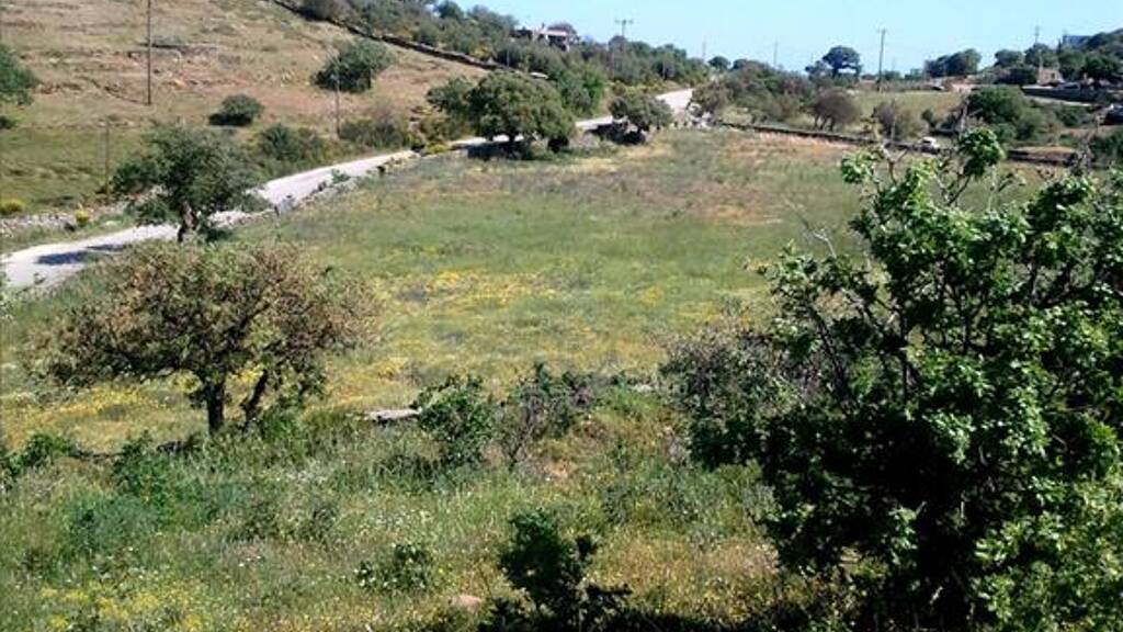 Land-/Forstwirtschaft zum Kauf 150.000 € 4.300 m² Grundstück Kykladen