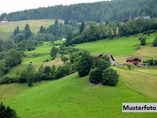 Land-/Forstwirtschaft zum Kauf 1.361.000 € 411.400 m² Grundstück St. Martin am Silberberg. St. Martin am Silberberg 14 9375