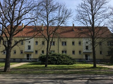 Wohnung zur Miete 514 € 4 Zimmer 79 m² EG frei ab sofort Wehrinselstraße 36a Forst-Stadt Forst (Lausitz) 03149