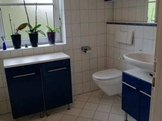 Wohnung zur Miete 650 € 2 Zimmer 60 m² Geschoss -1/2 frei ab 01.02.2026 Obere Markgrafenstraße  9a Neustadt Neustadt an der Aisch 91413