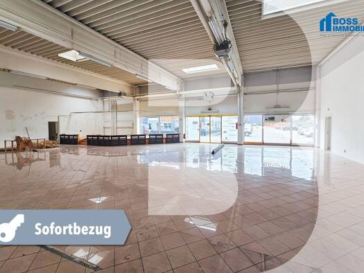 Halle/Industriefläche zur Miete 6.853 € 979 m² Lagerfläche Traun 4050