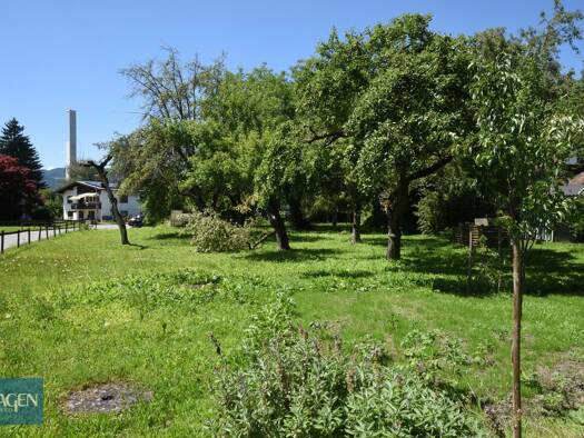 Grundstück zum Kauf 578 m² Grundstück Alpstraße Lustenau 6890