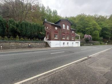 Mehrfamilienhaus zum Kauf 269.000 € 220 m² 830 m² Grundstück Bärenstein Werdohl 58791