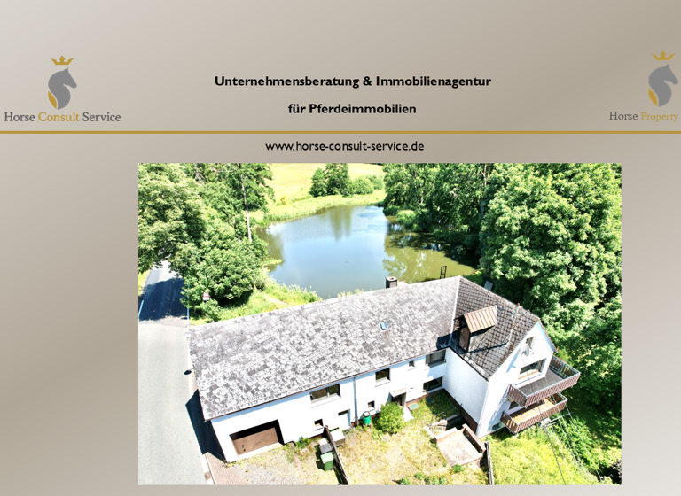 Mehrfamilienhaus zum Kauf 299.000 € 250 m² 23.374 m² Grundstück Bach Nisterau 56472