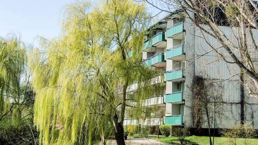 Wohnung zur Miete 435 € 3 Zimmer 64,6 m² 4. Geschoss frei ab 01.05.2027 Georg-Dreke-Ring 78 Prenzlau 17291