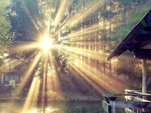 Bauernhaus zum Kauf 695.000 € 6 Zimmer 180 m² 25.000 m² Grundstück St. Roman 4793