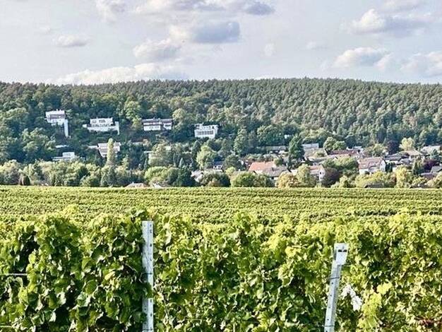 Einfamilienhaus zum Kauf provisionsfrei 858.000 € 4 Zimmer 269,6 m² 776 m² Grundstück Weisenheim am Berg 67273