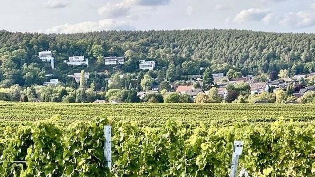 Einfamilienhaus zum Kauf provisionsfrei 858.000 € 4 Zimmer 269,6 m² 776 m² Grundstück Weisenheim am Berg 67273