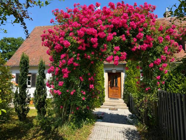Doppelhaushälfte zum Kauf 459.000 € 5 Zimmer 115 m² 1.242 m² Grundstück Cortendorf Coburg / Cortendorf 96450