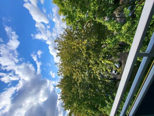 Wohnung zur Miete 406 € 3 Zimmer 59,8 m² 4. Geschoss frei ab sofort Leipziger Str. Magdeburg 39112