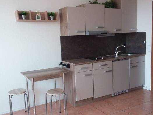 Wohnung zur Miete 350 € 1 Zimmer 29 m² Geschoss 1/6 frei ab sofort Homburg 66424