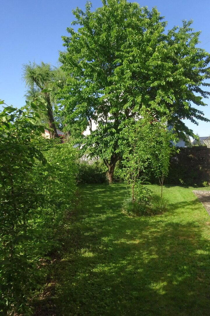 Einfamilienhaus zum Kauf - Ansicht 4