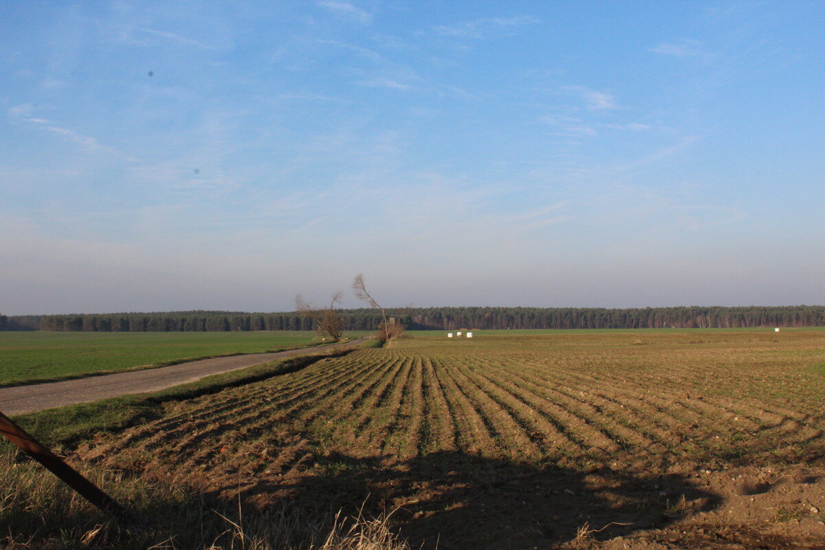 Land-/Forstwirtschaft zum Kauf 108.000 € Aken Aken (Elbe) 06385