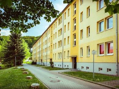 Wohnung zur Miete 276 € 2 Zimmer 46 m² 3. Geschoss frei ab sofort Hermann-Danz-Straße 32 Sondershausen Sondershausen 99706