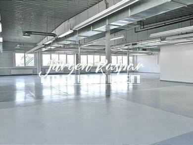 Halle/Industriefläche zur Miete 2.000 m² Lagerfläche teilbar ab 190 m² Maiach Nürnberg 90451