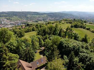 Mehrfamilienhaus zum Kauf 1.290.000 € 10 Zimmer 265,9 m² 7.984 m² Grundstück Lörrach 79539