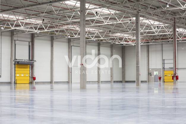 Lagerhalle zur Miete provisionsfrei 21.086 m² Lagerfläche teilbar ab 10.409 m² Pfalzfeld 56291