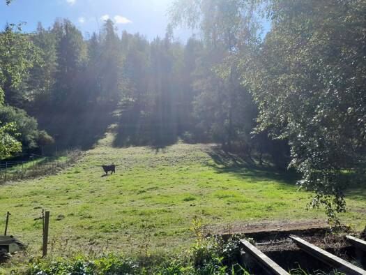 Land-/Forstwirtschaft zum Kauf 34.900 € 60.568 m² Grundstück Gebersdorf Gebersdorf Gräfenthal 98743