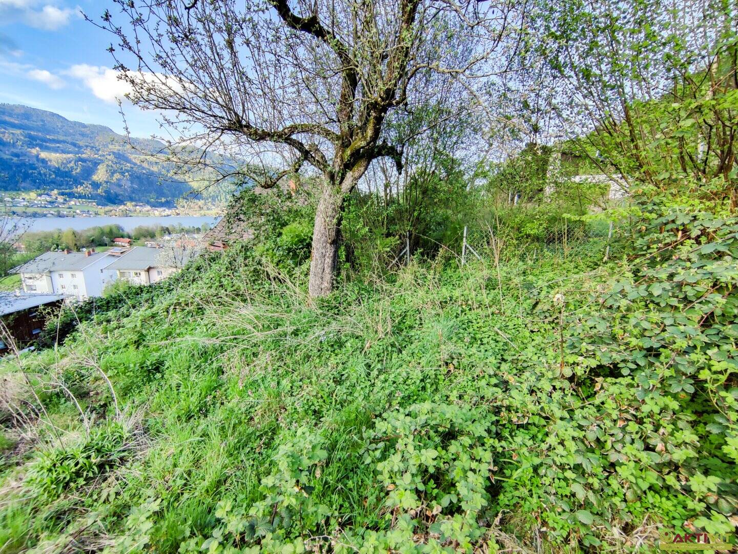 Grundstück zur Miete - Widok 6
