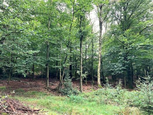 Landwirtschaftliche Fläche zum Kauf 250.000 € 126.450 m² 126.450 m² Grundstück Anschlag Halver 58553