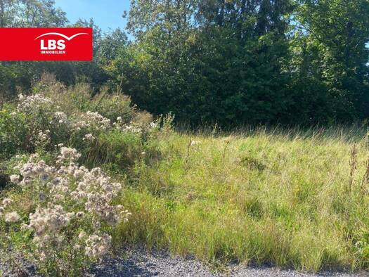 Grundstück zum Kauf 99.000 € 724 m² Grundstück Olsberg 59939