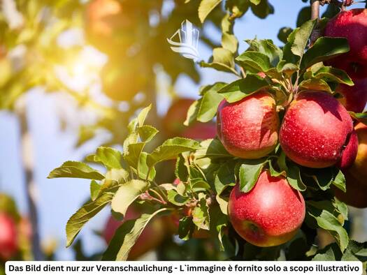 Grundstück zum Kauf 2.330.000 € 63.000 m² Grundstück Trento 38100