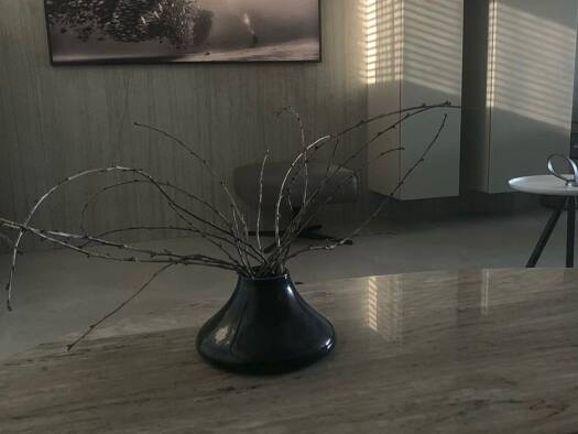 Reihenhaus zum Kauf provisionsfrei 995.000 € 5 Zimmer 145 m² 367 m² Grundstück Südstadt Fürth 90763