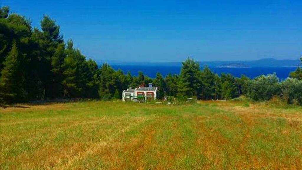 Land-/Forstwirtschaft zum Kauf 330.000 € 8.000 m² Grundstück Chalkidiki