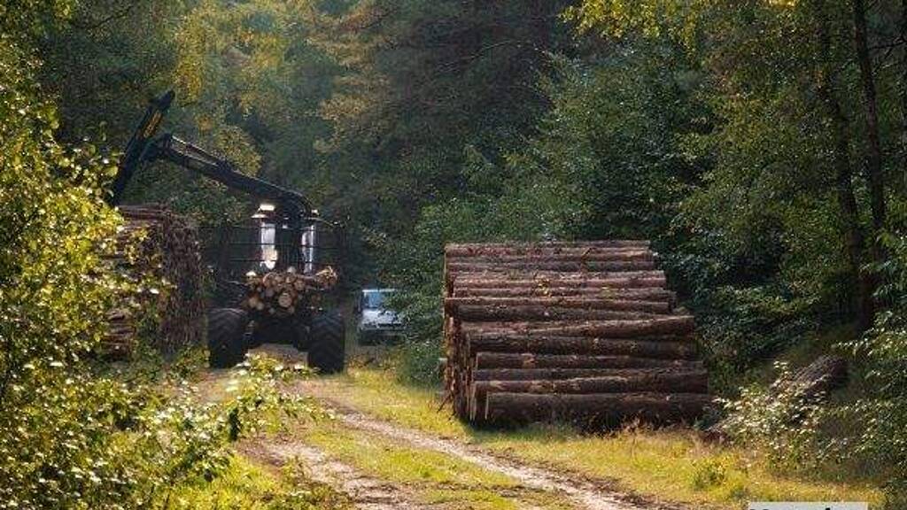 Land-/Forstwirtschaft zum Kauf 48.500 € 19.080 m² Grundstück Floß 92685