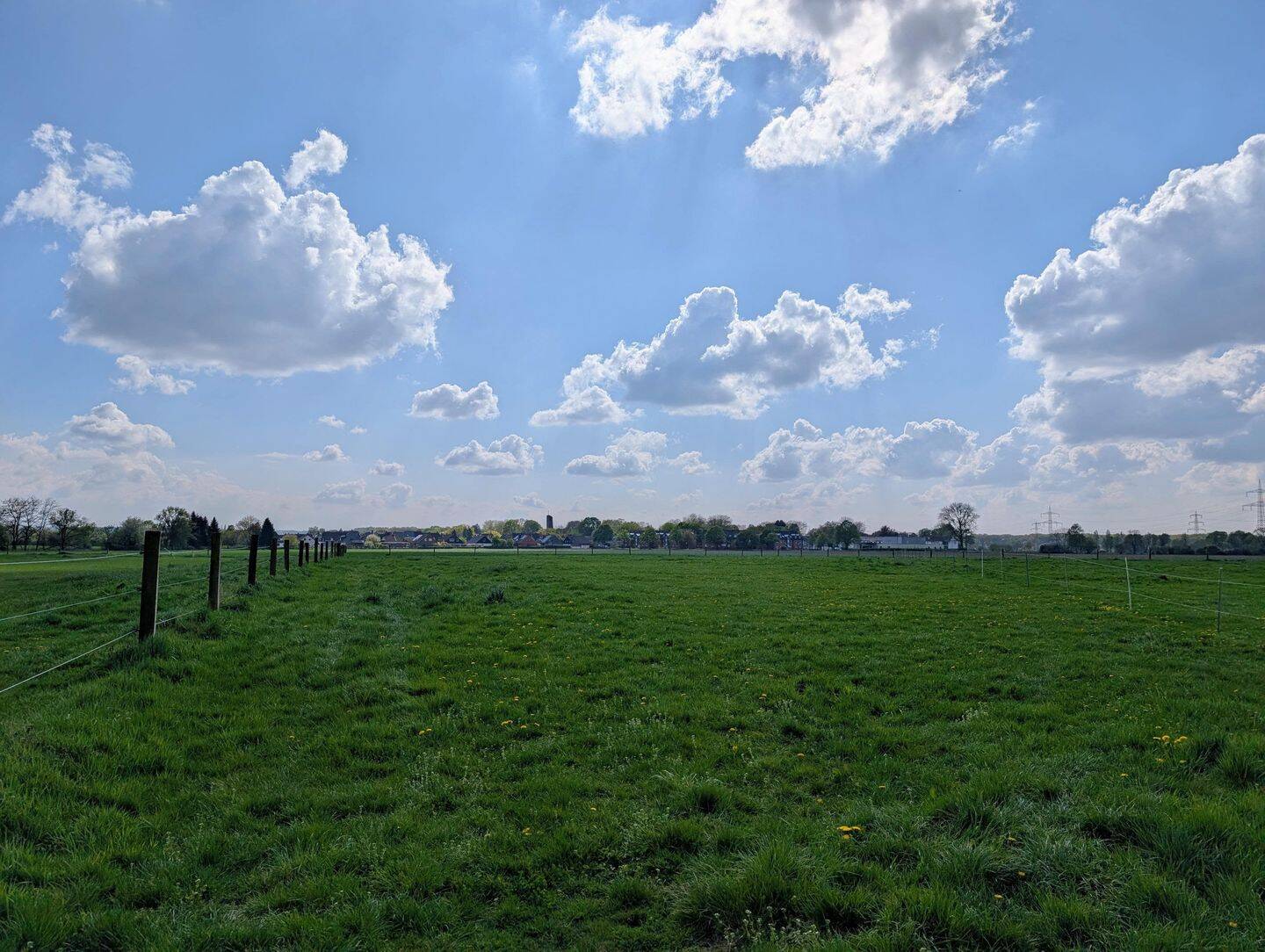 Land-/Forstwirtschaft zum Kauf - Ansicht 2