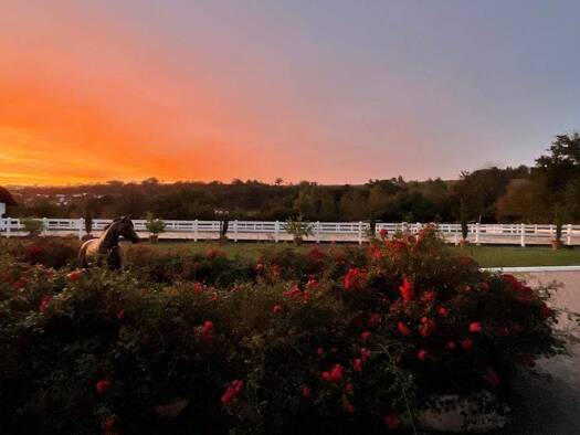 Reiterhof zum Kauf provisionsfrei 2.500.000 € 32.795 m² Grundstück Binau 74862