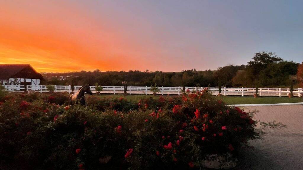 Reiterhof zum Kauf provisionsfrei 2.500.000 € 32.795 m² Grundstück Binau 74862