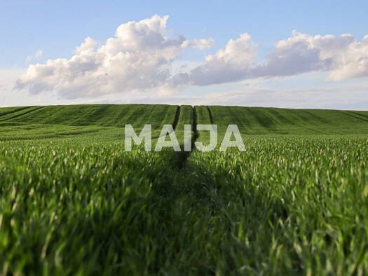 Land-/Forstwirtschaft zum Kauf 6.300.000 € 13.250.000 m² Grundstück Karsava 5717 - Ka