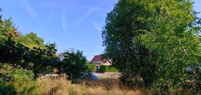 Grundstück zum Kauf 41.900 € 630 m²<br/>Grundstück Rodaer Dorfstraße 45 Roda Frohburg 04654