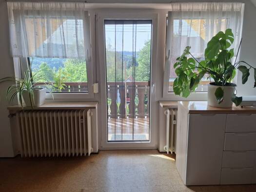 Studio zur Miete 500 € 1 Zimmer 45 m² Geschoss 1/2 frei ab sofort Kleinhaslach Dietenhofen 90599