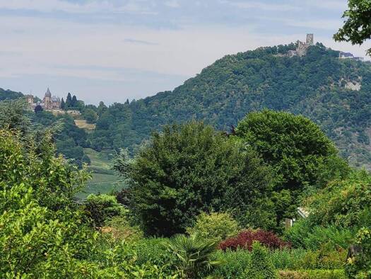 Grundstück zum Kauf 985.000 € 1.698 m² Grundstück Mehlem Bonn 53179