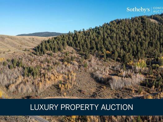 Bauernhaus zum Kauf 82 m² 161.874 m² Grundstück 990 Pine Siskin Rd  Jackson  WY 83001  USA Jackson 83001