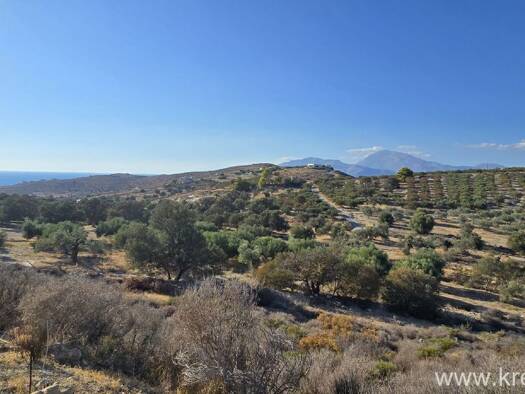 Grundstück zum Kauf 200.000 € 5.300 m² Grundstück Kalamaki 702 00