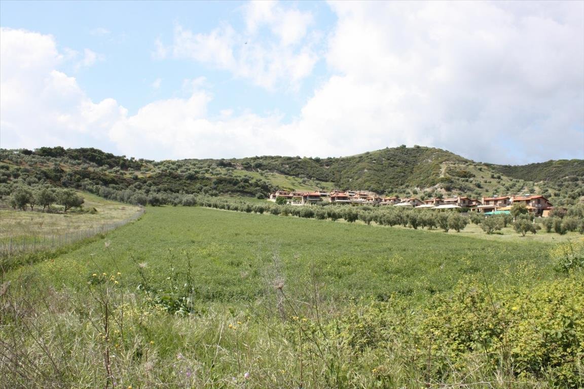 Land-/Forstwirtschaft zum Kauf 800.000 € 23.000 m²<br/>Grundstück Chalkidiki