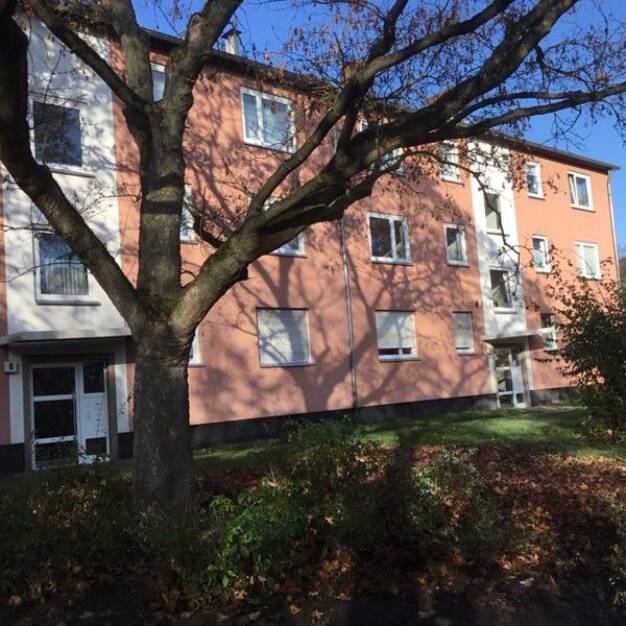 Wohnung zur Miete 588 € 3 Zimmer 66,9 m² frei ab 22.06.2025 Mittelfeldstr. 6 Rothenditmold Kassel 34127