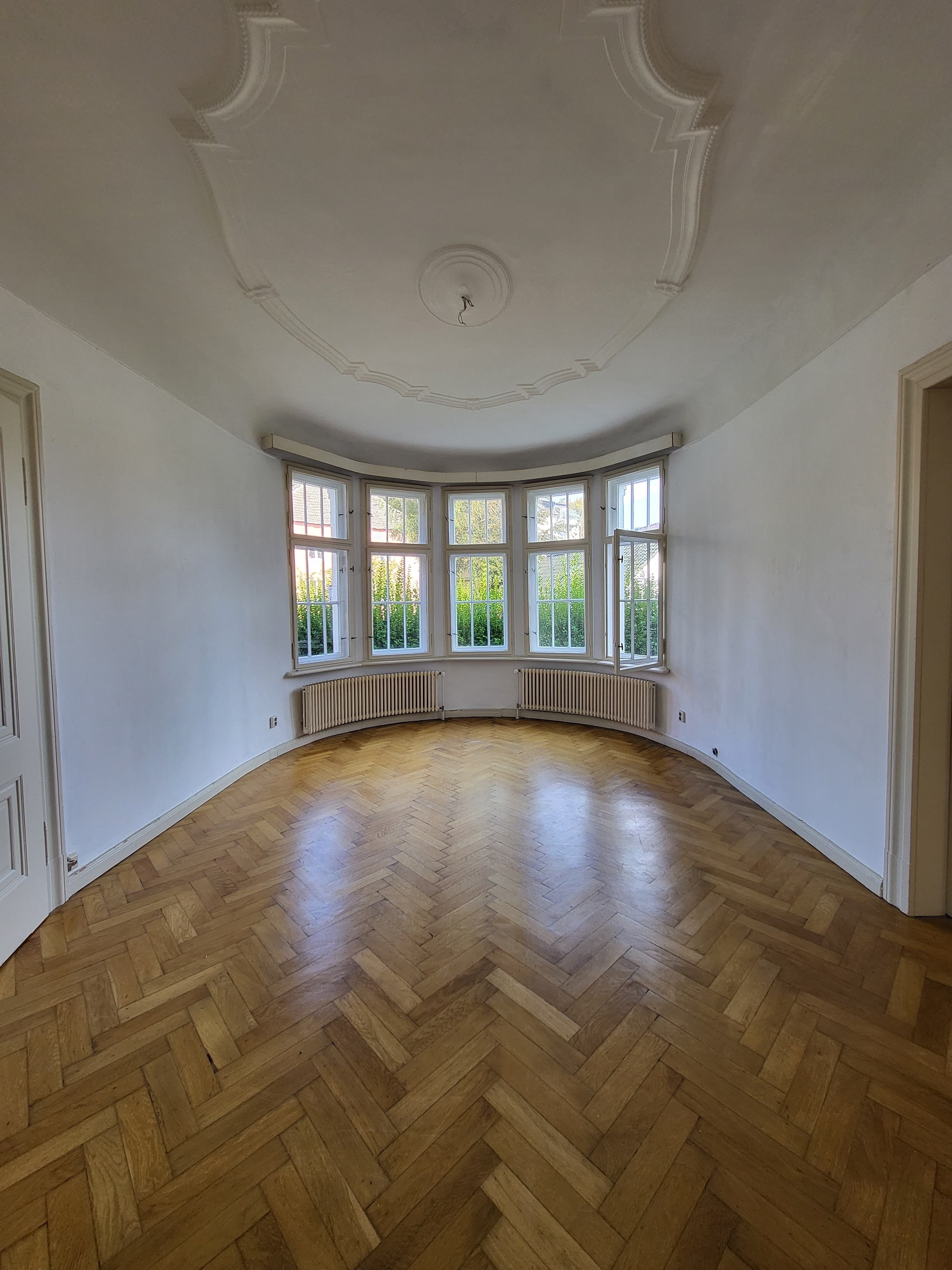 Bürofläche zur Miete provisionsfrei 8,50 € 4 Zimmer 162,5 m²<br/>Bürofläche Triebseer Vorstadt Stralsund 18439