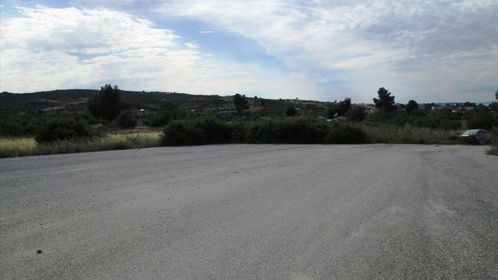 Land-/Forstwirtschaft zum Kauf 1.000.000 € 10.000 m² Grundstück Chalkidiki