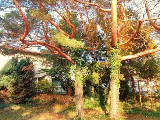 Einfamilienhaus zum Kauf 330.000 € 4 Zimmer 140 m² 800 m² Grundstück frei ab sofort Scheßlitz 96110