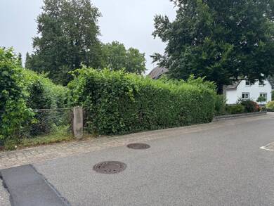 Grundstück zum Kauf provisionsfrei 240.000 € 220 m² Grundstück Rust 77977