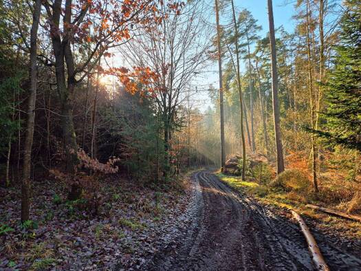Forstwirtschaft zum Kauf als Kapitalanlage geeignet 159.000 € 29.886 m² Grundstück Weidorf Ehekirchen 86676
