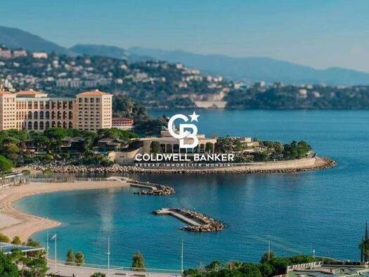 Haus zum Kauf 25.004.000 € 340 m² Monaco